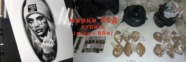 гидра Арсеньев