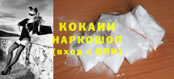 гидра Арсеньев