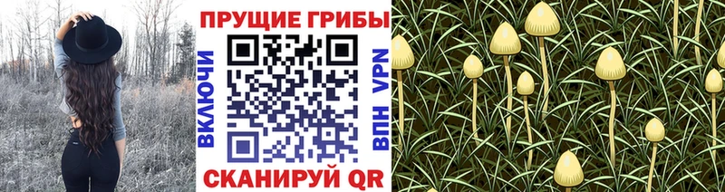 Псилоцибиновые грибы Magic Shrooms  KRAKEN   Полесск 